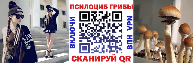 ОМГ ОМГ зеркало  Ивдель  Псилоцибиновые грибы Psilocybe 